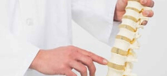ستون فقرات چیست