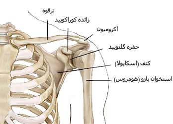 شکستگی استخوان بازو