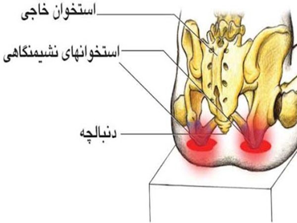عکس دنبالچه 