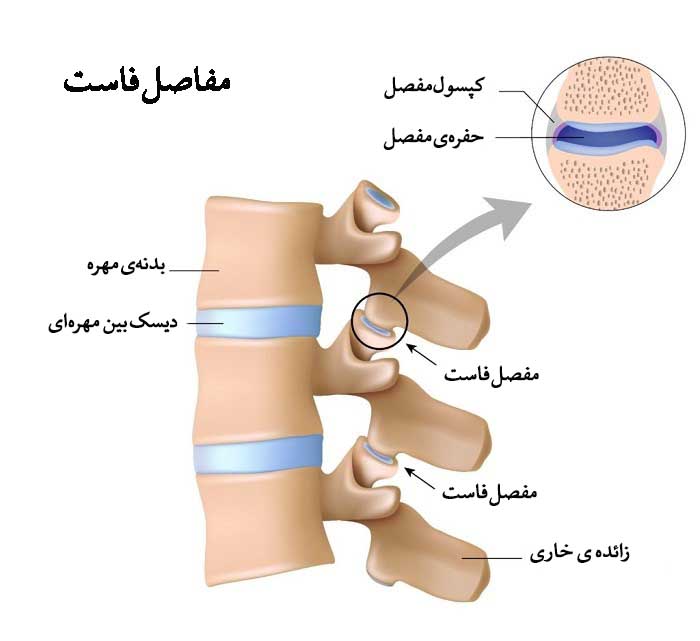مفاصل فاست چیست